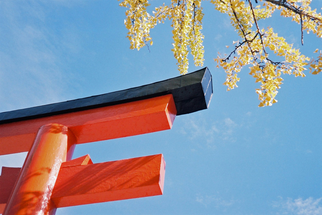 下鴨神社にて