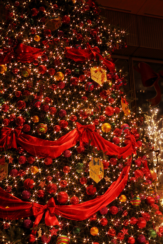 MaryChristmas