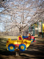 春の公園