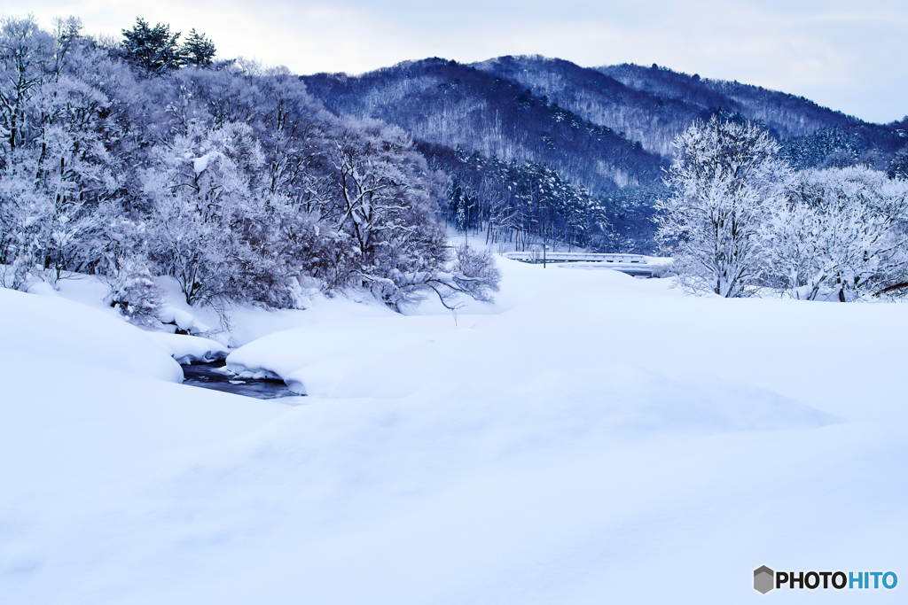 北芸の雪