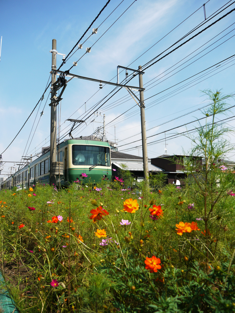 江ノ電がやってきた♪