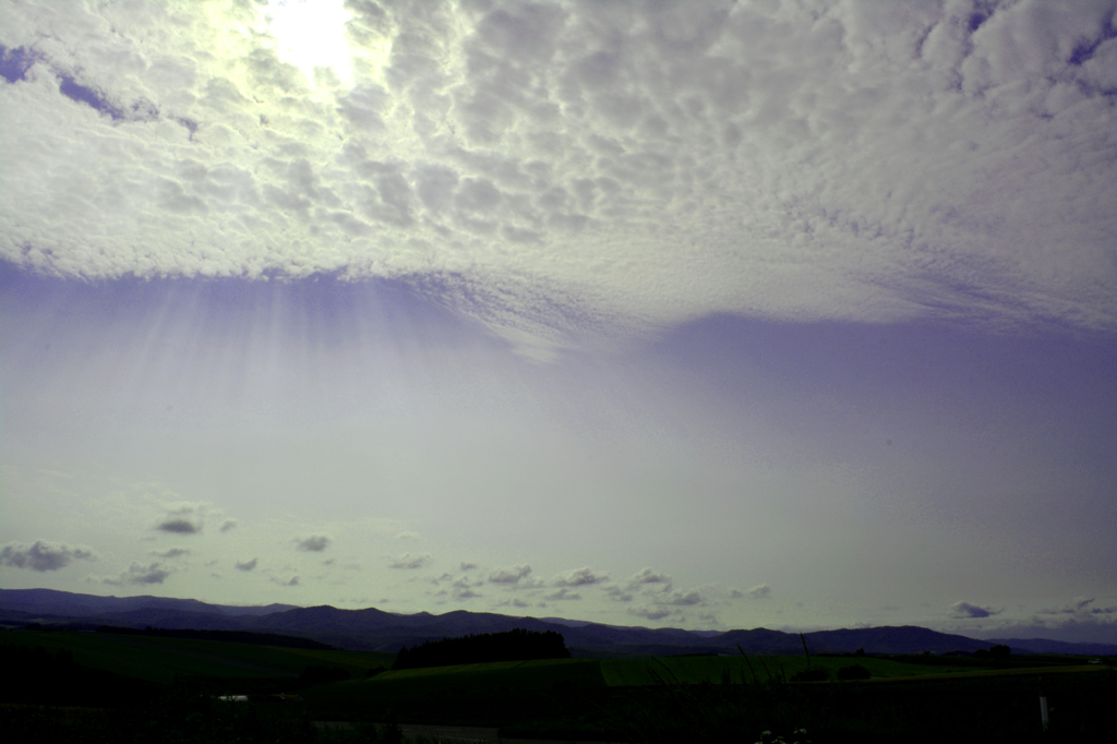 美瑛に広がる雲