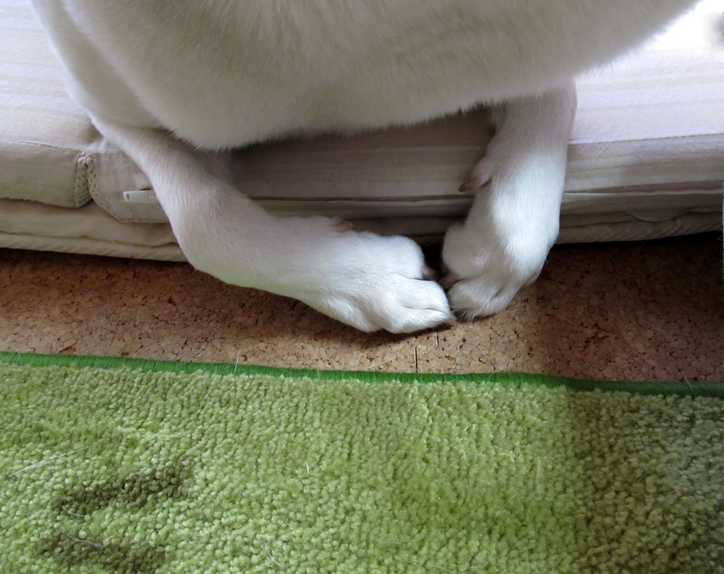 足だけね♪