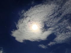 夏日と秋雲