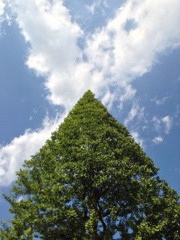 空と大地のX（エックス）