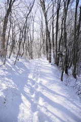 雪山にて　～朝の道～