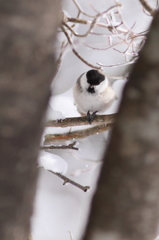 雪山にて　～寒いよー～