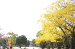 秋の公園