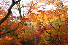 Autumn in Kyoto 3