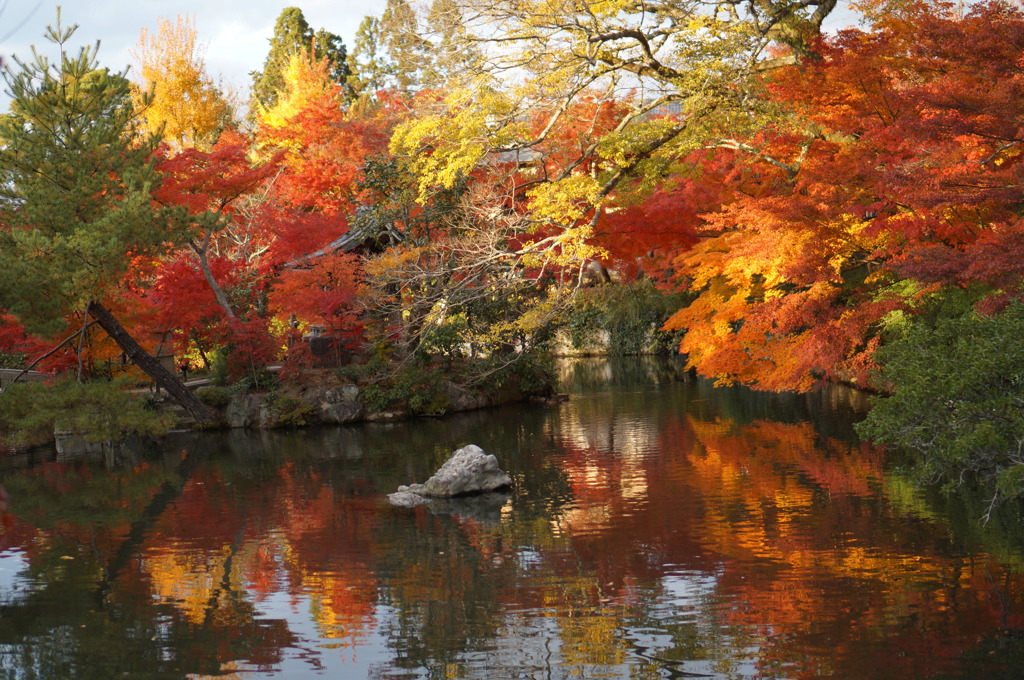 Autumn in Kyoto 4