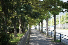日常の風景