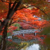 Autumn in Kyoto 6