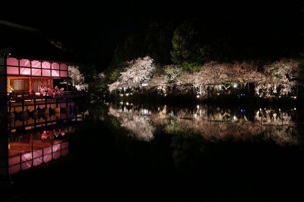 音色桜