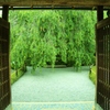 退蔵院