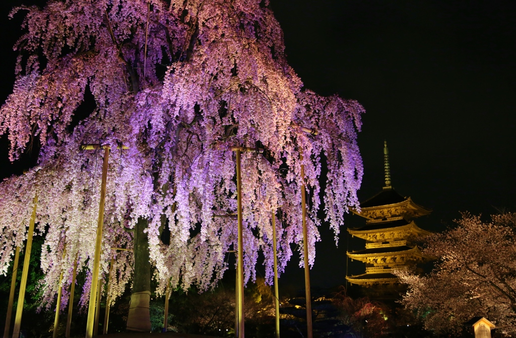 東寺