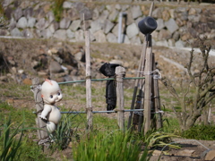 捕まった(/ω＼)