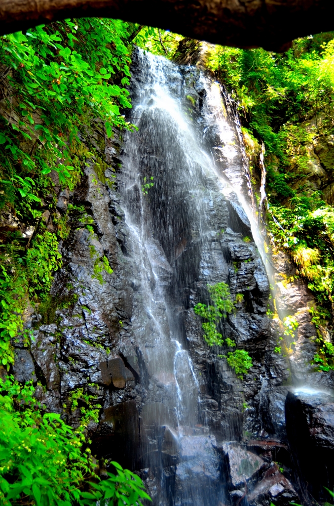 駒ヶ滝