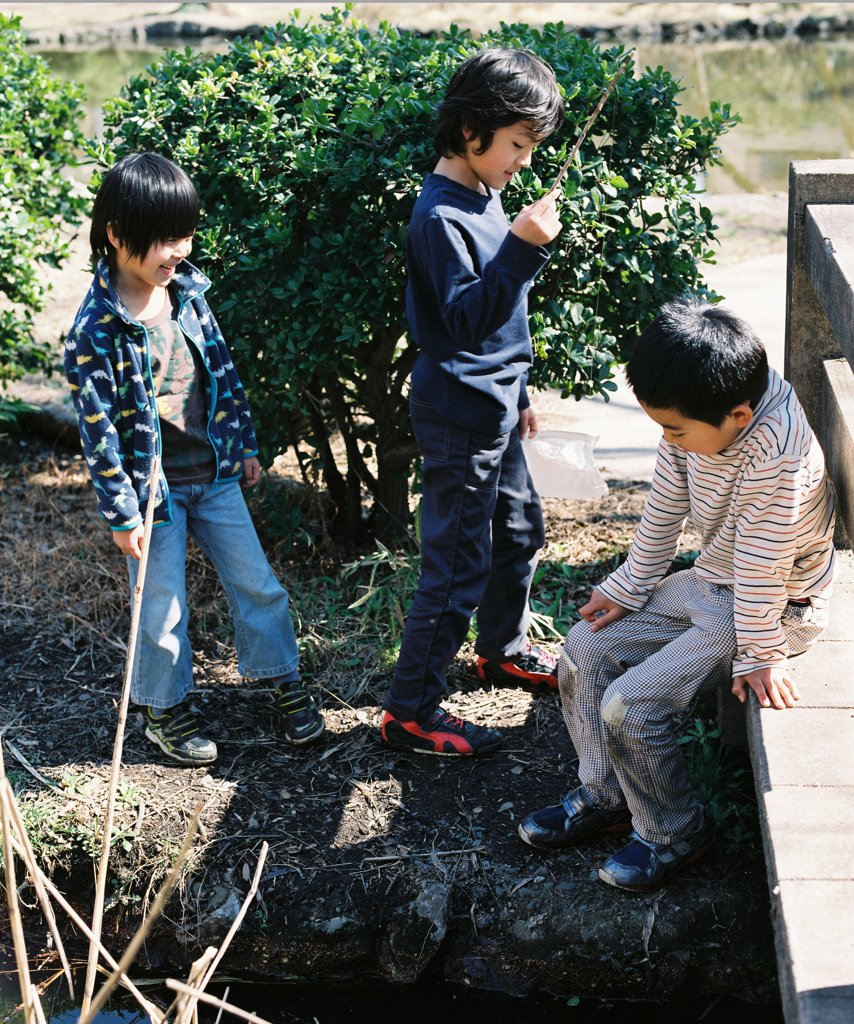 見て見て！カエルの卵！