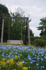 伊豆四季の花公園4
