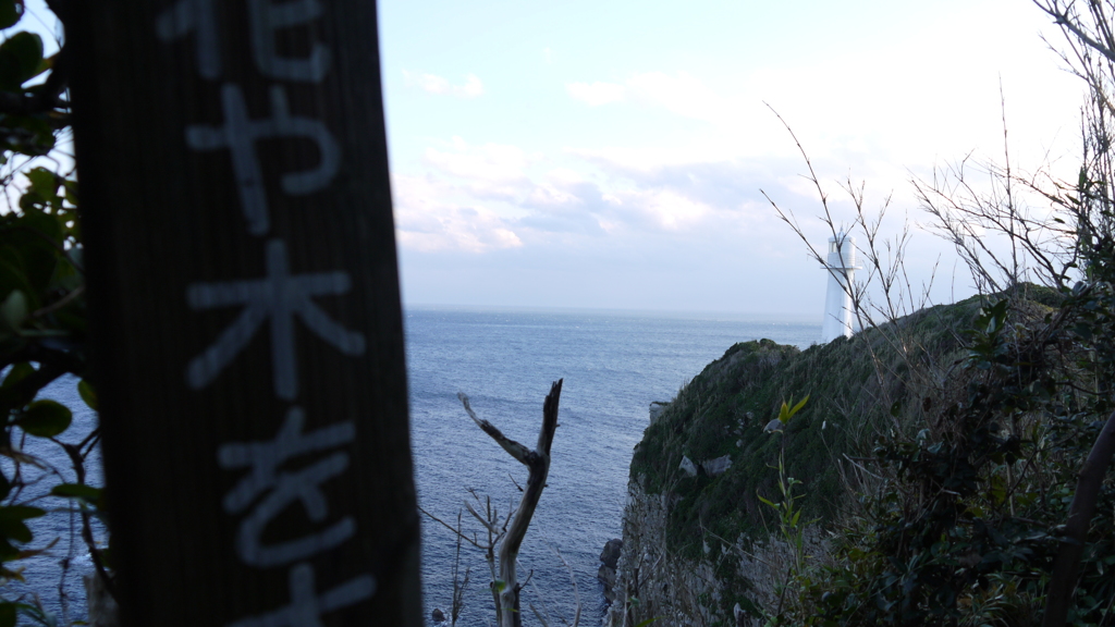 花や木を大切に
