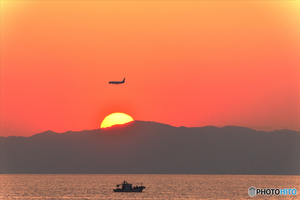 2019-4-3　夕日と飛行機３　A320