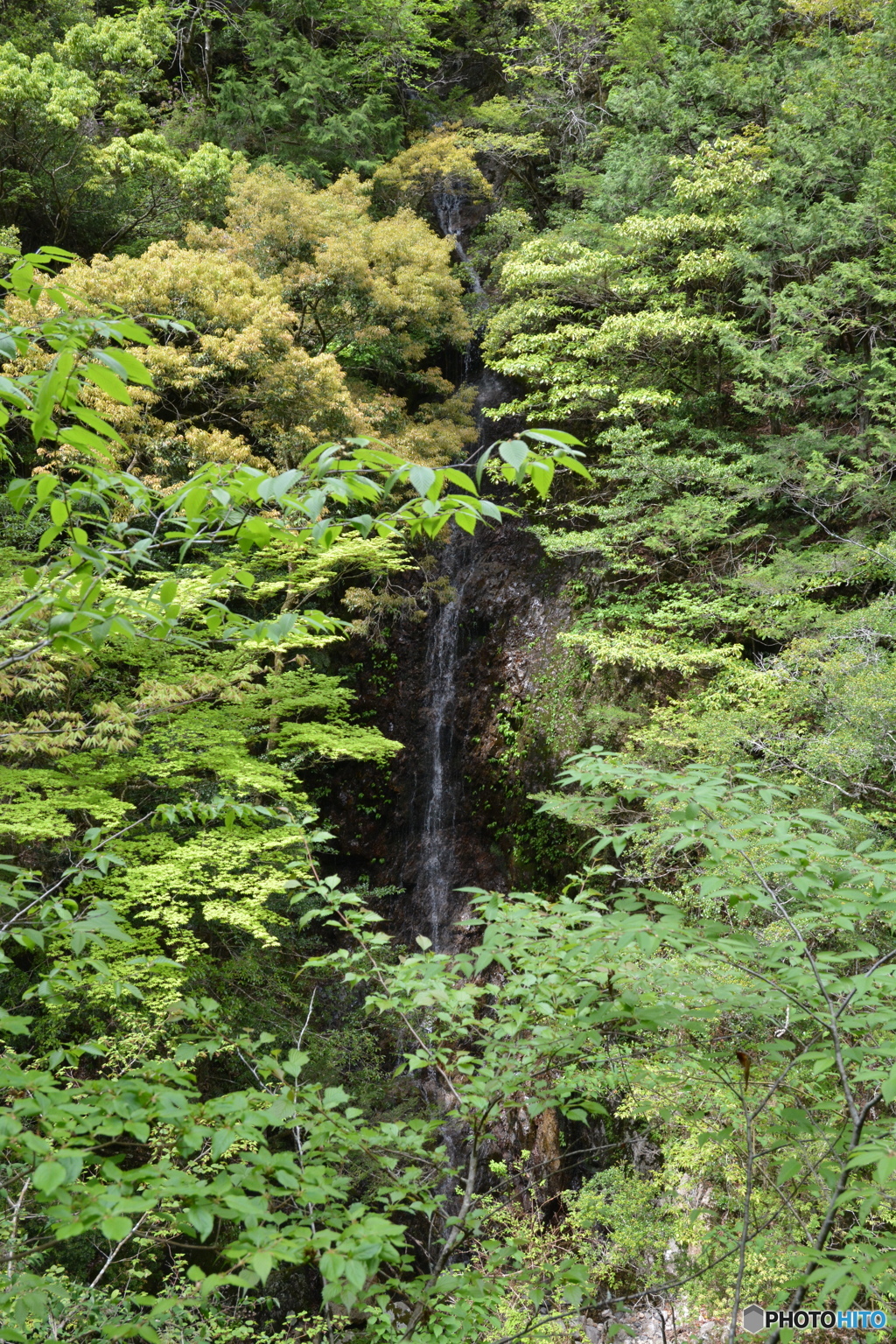 名もなき滝