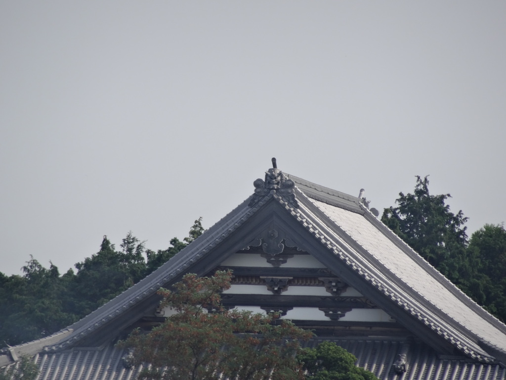 30倍　720mm相当
