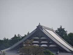 30倍　720mm相当
