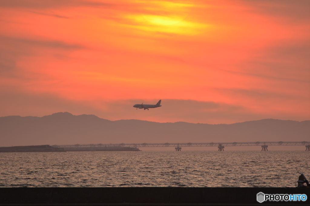 2019-8-10 夕日と飛行機1 A320