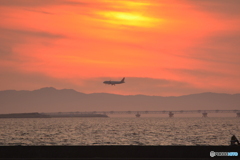 2019-8-10 夕日と飛行機1 A320