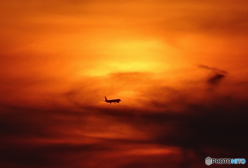 夕焼けの飛行機