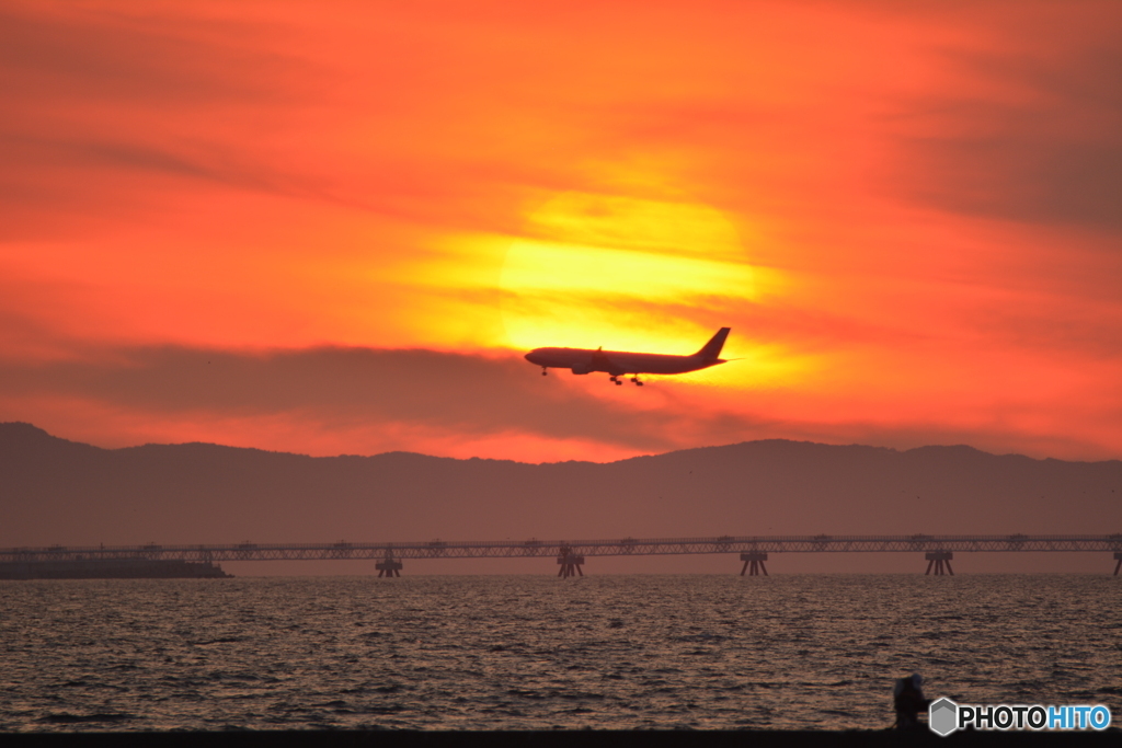 2019-8-10 夕日と飛行機3 A330