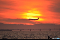 2019-8-10 夕日と飛行機3 A330