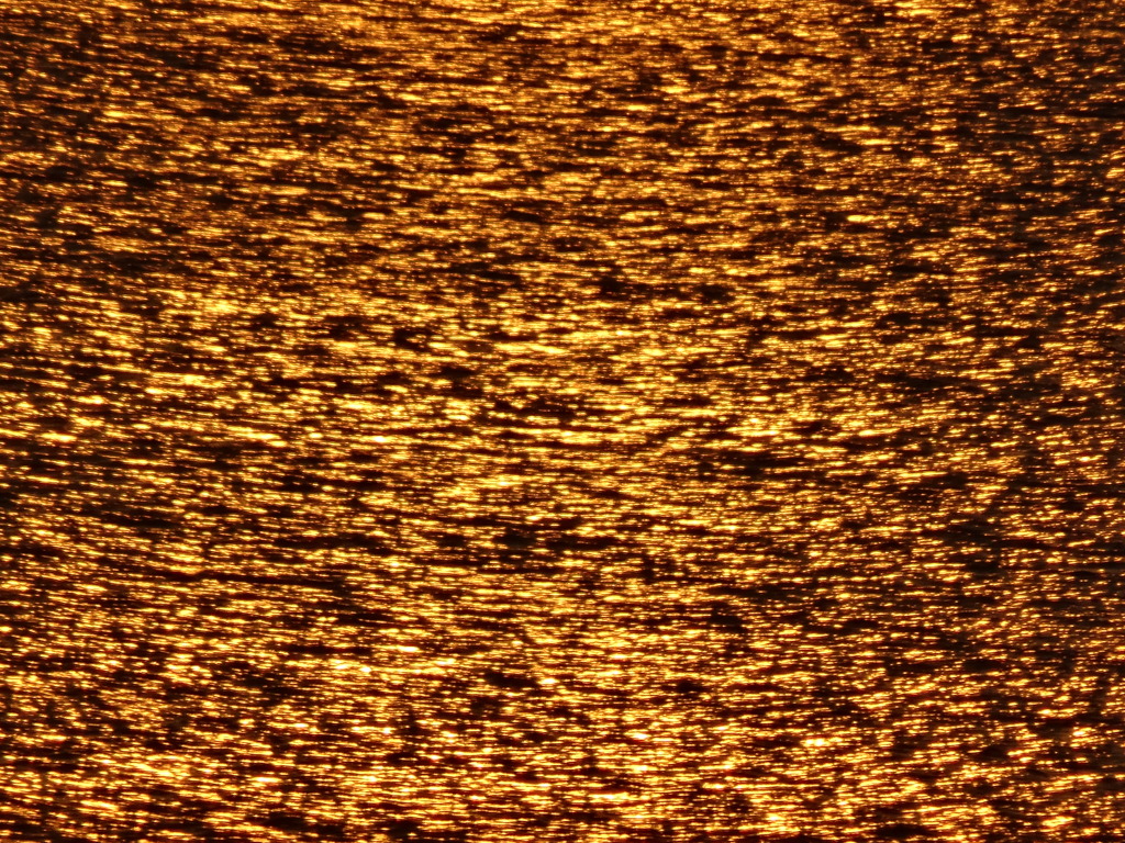 金色の川面
