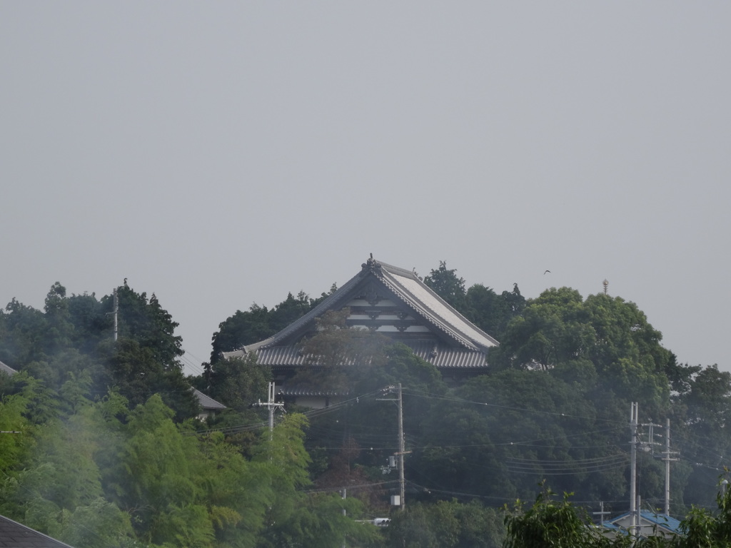 10倍　240mm相当