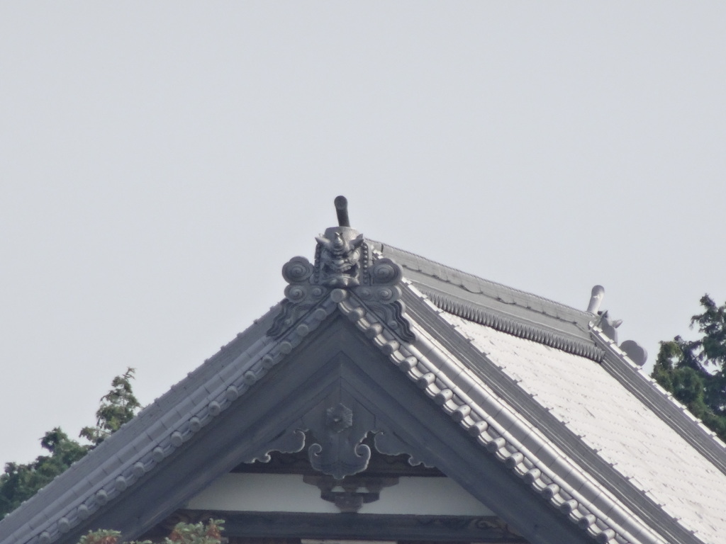 60倍　1440mm相当