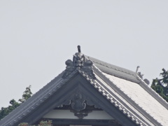 60倍　1440mm相当