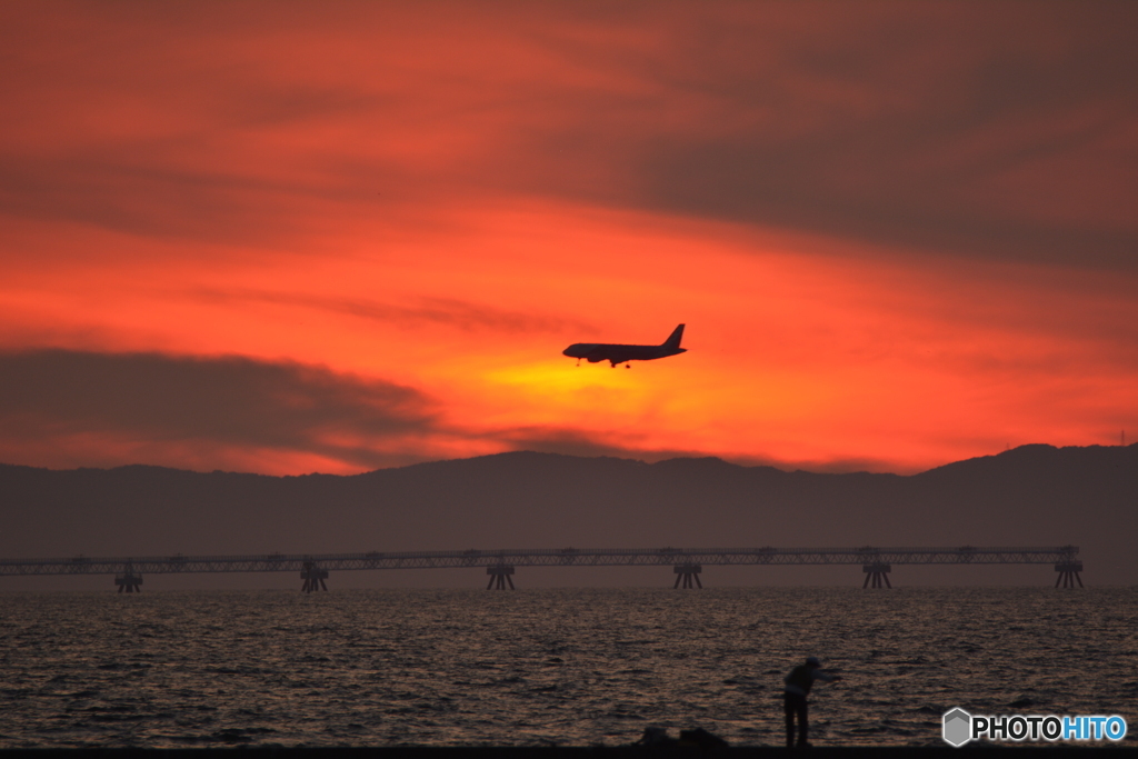 2019-8-10 夕日と飛行機4 A320