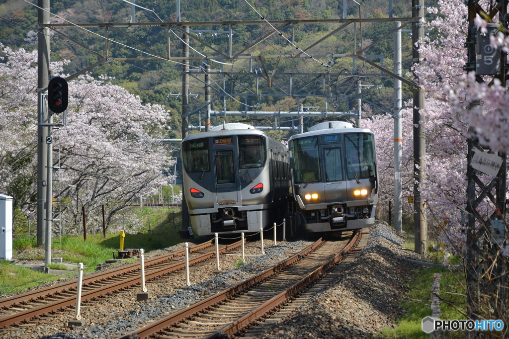 阪和線225系と223系