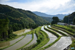 山間の棚田１