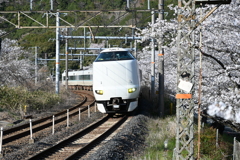 特急くろしお　山中渓