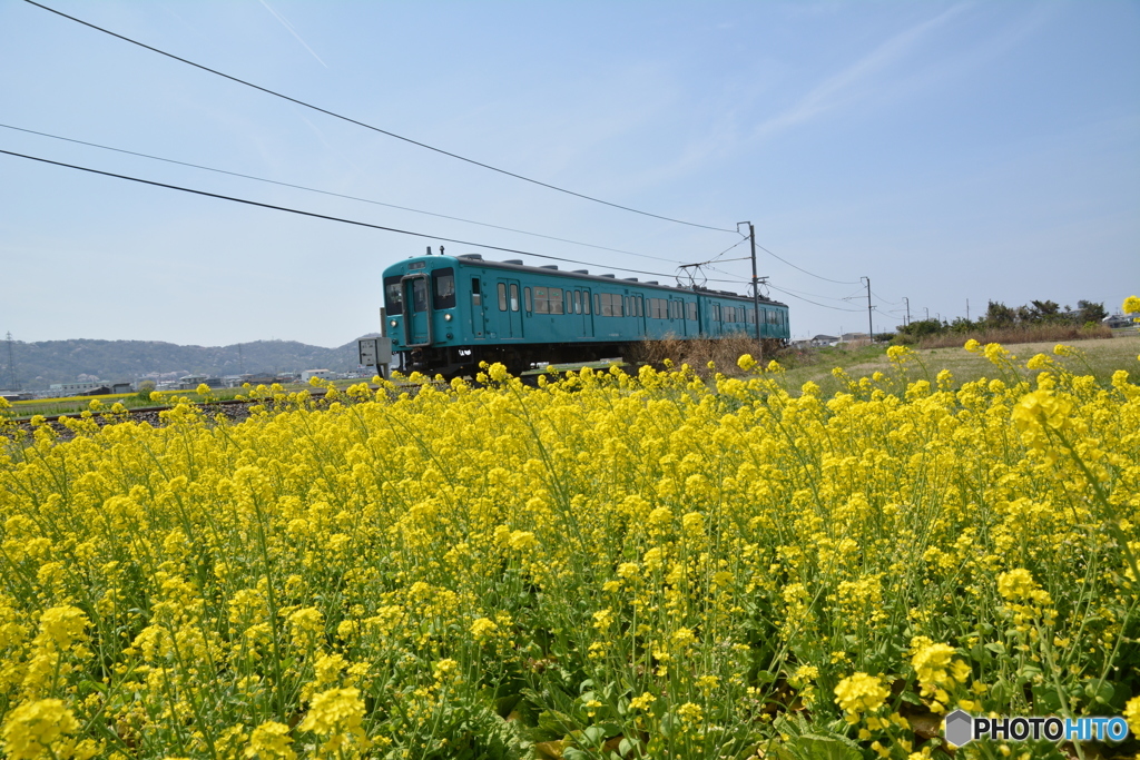 春列車