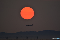 2019-8-4 夕日と飛行機2　B737