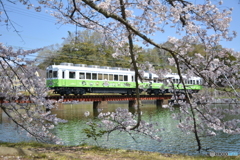 貴志川線　動物愛護電車