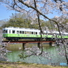貴志川線　動物愛護電車