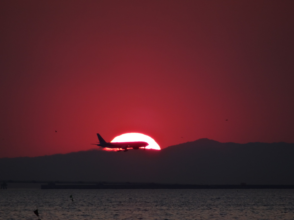 夕日と飛行機02