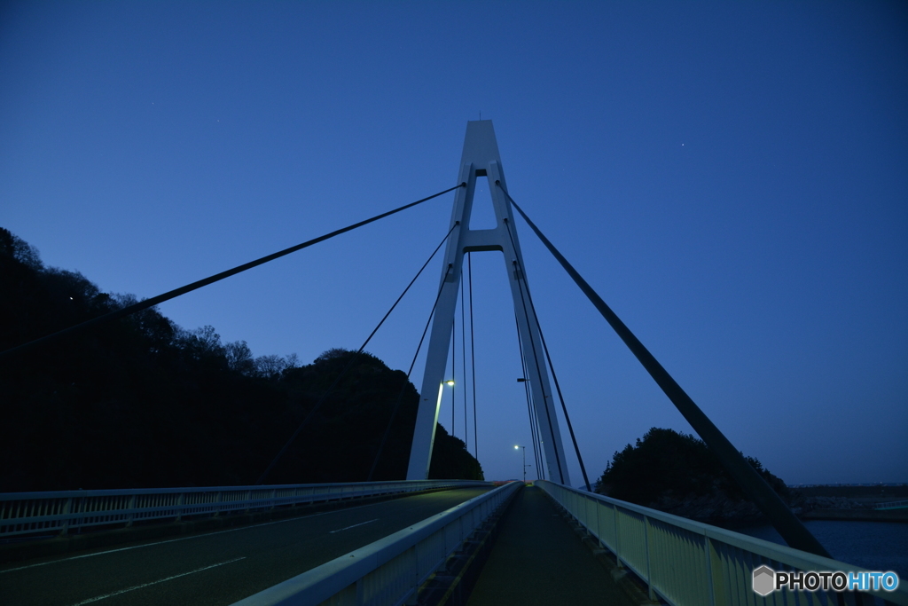 夜明け前の斜張橋