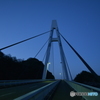 夜明け前の斜張橋