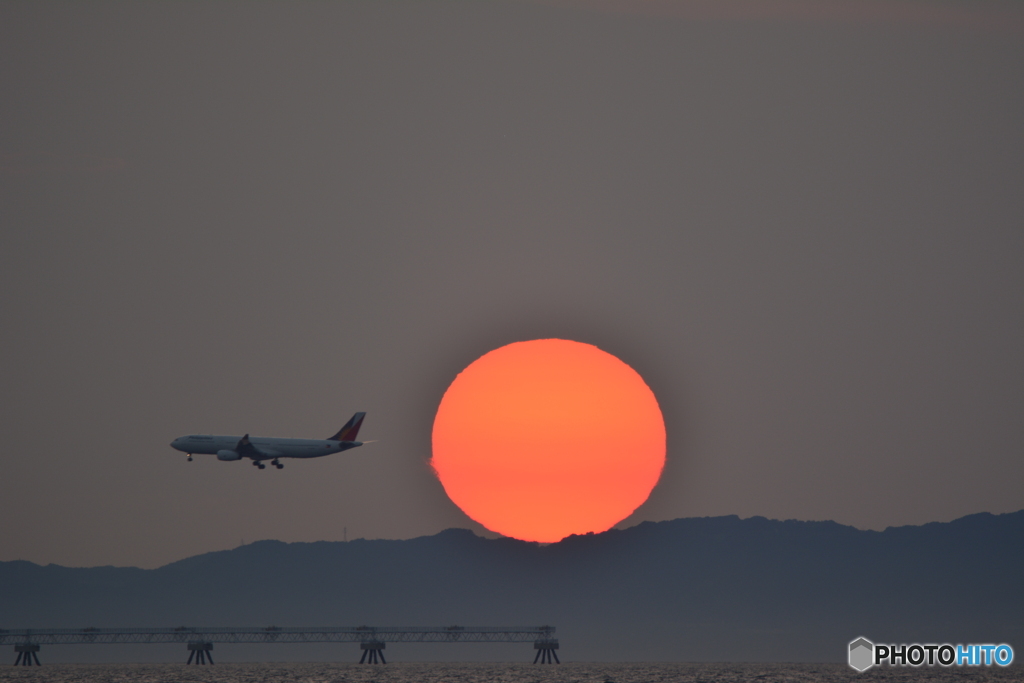 2019-8-4 夕日と飛行機3　A330