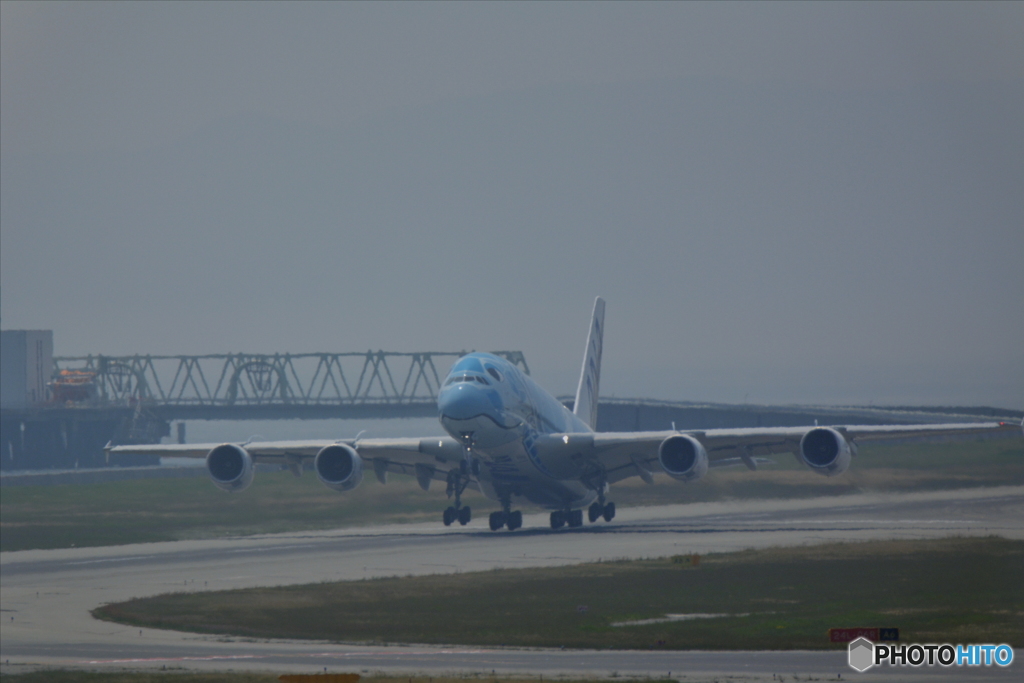 フライング・ホヌ　関空離陸